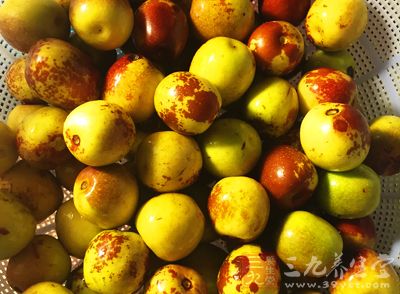 長壽至寶原來是這一物