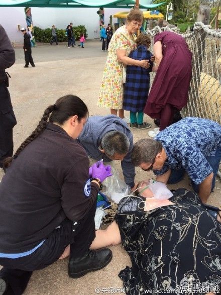 中國游客在美國救倒地游客 公園邀其單獨看表演