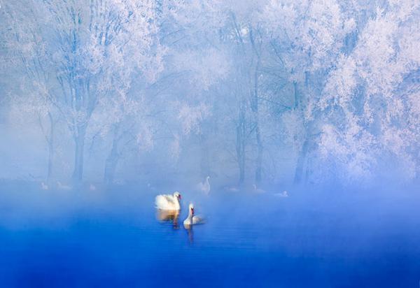 “貴在責任 貴在關愛”第四屆全國攝影大賽五月賽獲獎名單揭曉